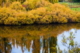 The Shingles Riverside Cottages - 3