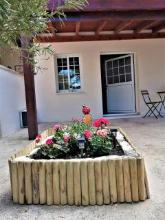 Lemon Tree Courtyard - 3