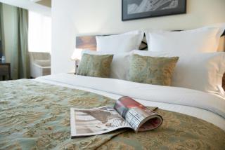 Ani Plaza Hotel - Erevan - 5