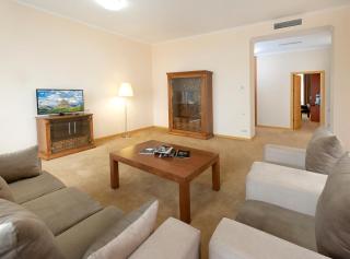 Ani Plaza Hotel - Erevan - 4