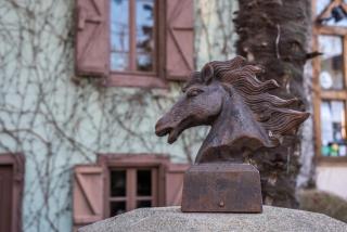 Haras Picard du Sant - Lasserre - 2