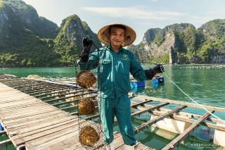 Heritage Line Violet Cruise - Halong Bay & Lan Ha Bay - Ha Long - 3