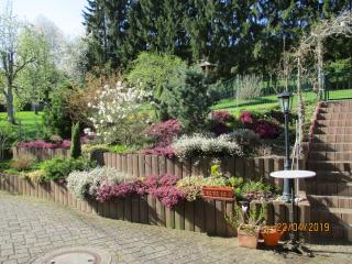 Pension Hilberath - Kottenborn - 7