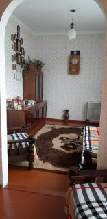 Nikoloz Guesthouse - Kazbegi - 9