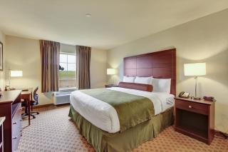 Cobblestone Hotel & Suites - Waynesboro - 1