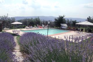 Borgo Rapale - Rapale - 8