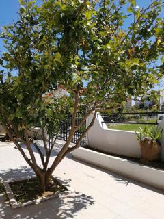 Paulsia Apartments - Psinthos - 4