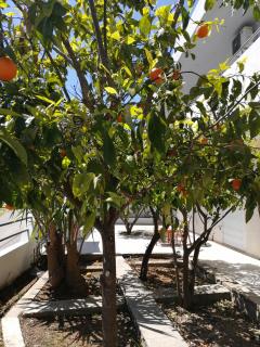 Paulsia Apartments - Psinthos - 5