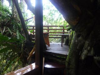 Topos Tree House - Cahuita - 5