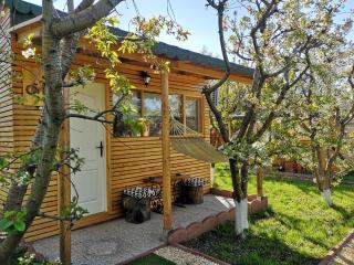 Relax Eaza - Casa cu Hamac - Constanţa - 3