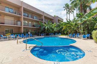 Beachview - South Padre Island - 4