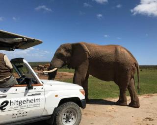 Hitgeheim Country Lodge - Addo - 0