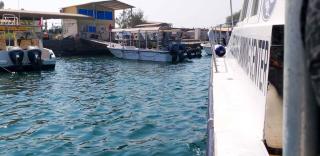Divers home - Ra’s al-Chaima - 6