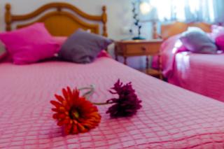 Apartamento Calle Alta - Conil de la Frontera - 6