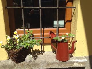 B&B Mamma Mia - Pisano - 6