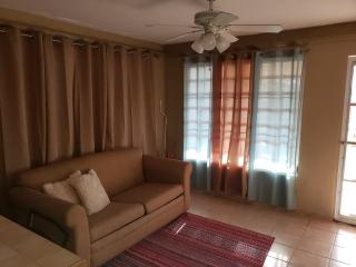 Cozy apartment near the beach (#3) - Fajardo - 4