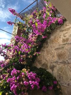 Dalmatinska kuća Terace - Skradin - 8