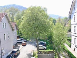 Ferienwohnung Sagenhaft - Bad Harzburg - 3