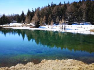 Fenat - Alpine Living - Introd - 7