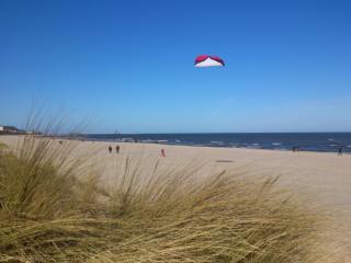 Waldhaus Gertrud - 120 m zum Strand - Bansin - 8