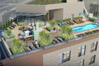 Global Luxury Suites Bethesda Chevy Chase - Bethesda - 8