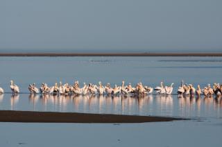 Lagoon Lodge - 4