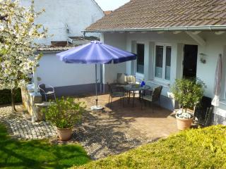 Ferienwohnung Kirschblüte - Billigheim-Ingenheim - 9