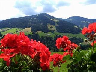 Aussermooserhof - Alpbach - 3