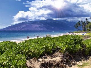Maui Banyan T-305 - 6