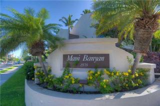 Maui Banyan T-305 - 1