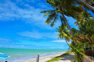 Espaço Revive Guesthouse e Camping - PÉ NA PRAIA - Maragogi - 1