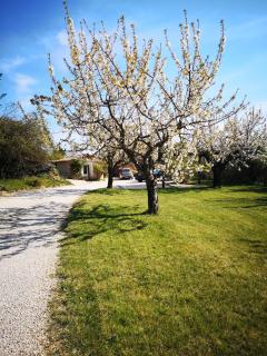 The Neame House - Bédoin - 2