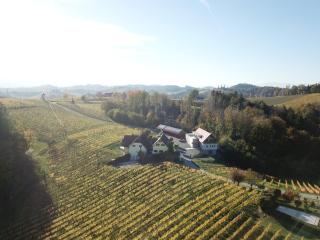 Weingut Schwarzl - Ratsch an der Weinstraße - 9