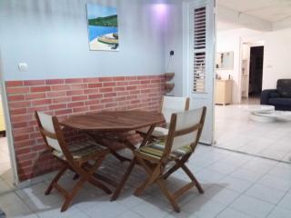 Grand F2 ou Sympathique Studio, spa, jardin, parking - 4