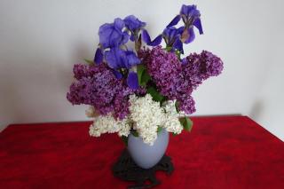 L'aligier - Les gites de Pierregras - 6