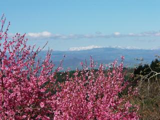 Le Vallon d'Armandine, gîte écologique Auvergne - Saint-Hilaire - 9