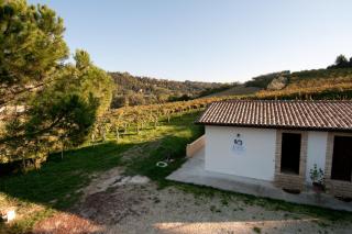 Casa dell'Orto - San Vito Chietino - 8