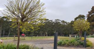 Lockleigh Park - Lebrina - 0