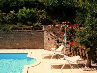 Millau Aveyron Location Vacances - 3