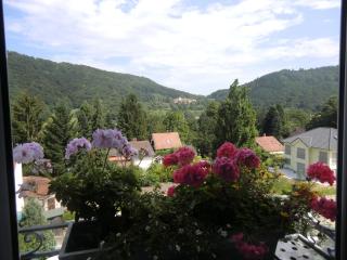 Haus Marija M - Badenweiler - 4