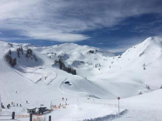 Haus Schladming - Schladming - 3