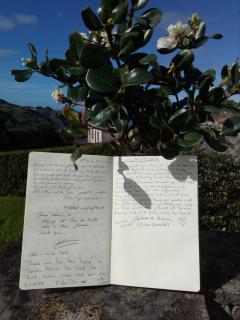 Casa do Norte - Santa Maria - 5