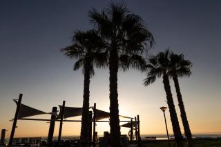 Alicante View Wonderful - Arenales del Sol - 1