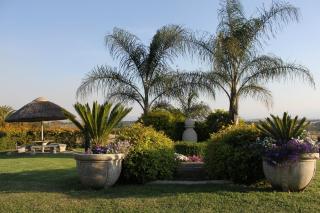 Drakensview Self Catering - Winterton - 6
