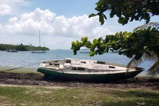 Cozy apartment near the beach (#3) - Fajardo - 6