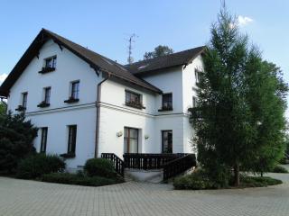 Villa Žerotín Penzion Bed & Breakfast - Velké Losiny - 1