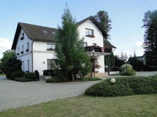 Villa Žerotín Penzion Bed & Breakfast - Velké Losiny - 3