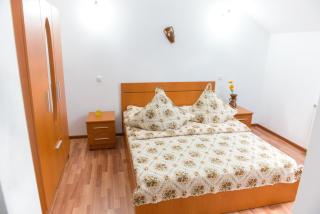 Casa Andreea - Suceviţa - 9