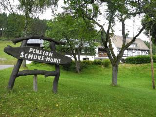 Ferienwohnung Schütte-Mühle - Schmallenberg - 6
