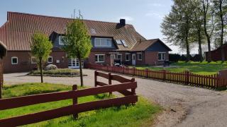 Ferienwohnung mit wunderschönem Blick auf den Nord-Ostsee-Kanal - Breiholz - 8